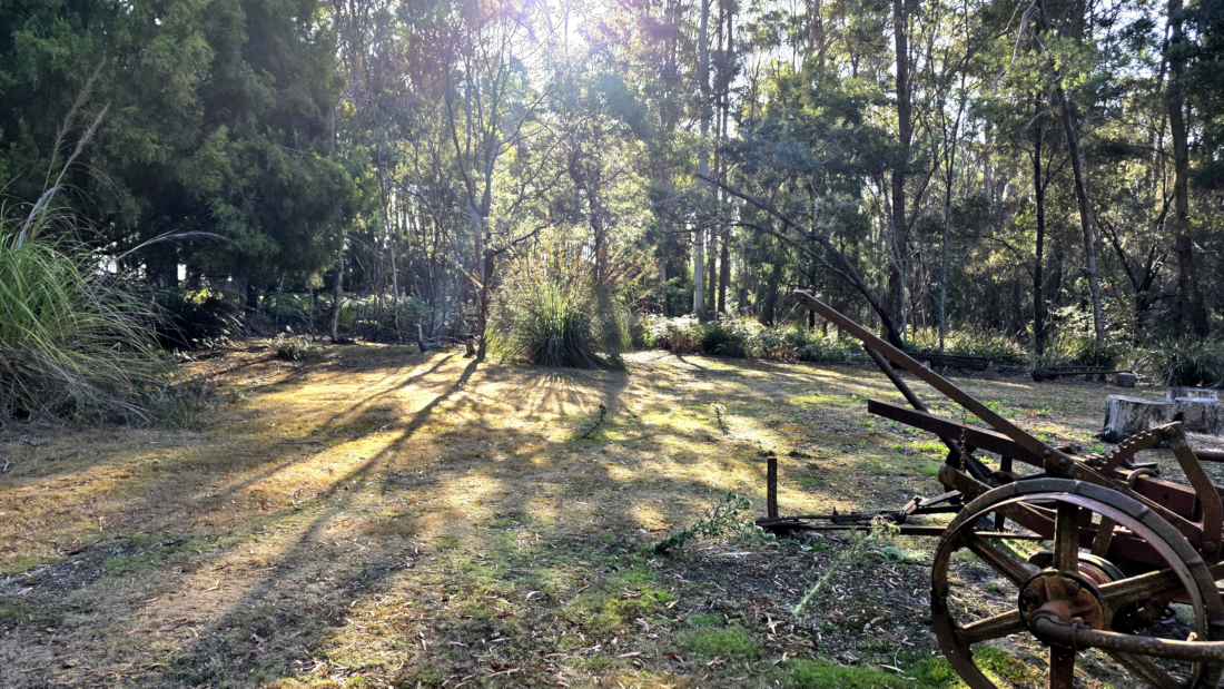 Wildlife camera thumbnail 2